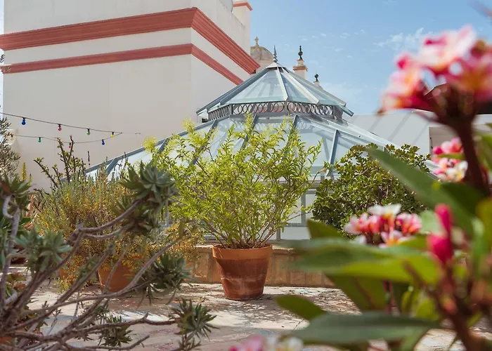 דירה La Casa Del Consul